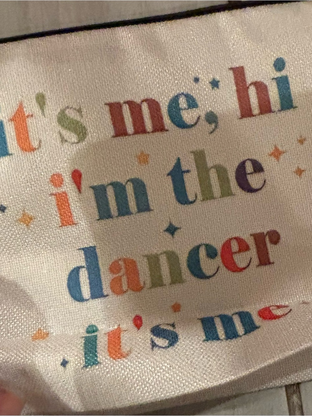 Printed Cosmetic Pouch in Cream & Multicolor brand new Taylor swift bag